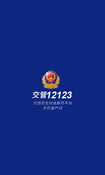 广州app开发交管12123app